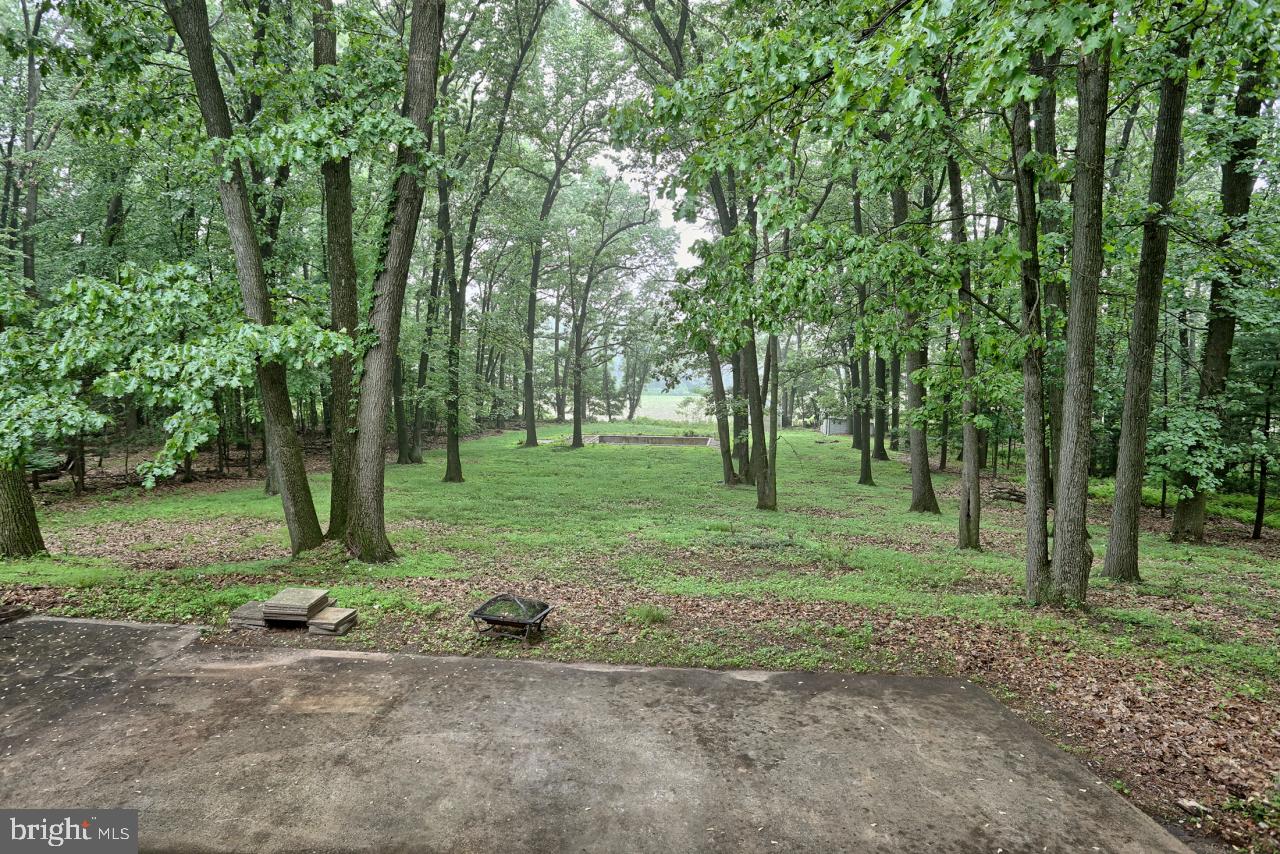 1956 Sand Hill Road Hershey, PA 17033 - Photo 21 of 23 Gallery Image 21
