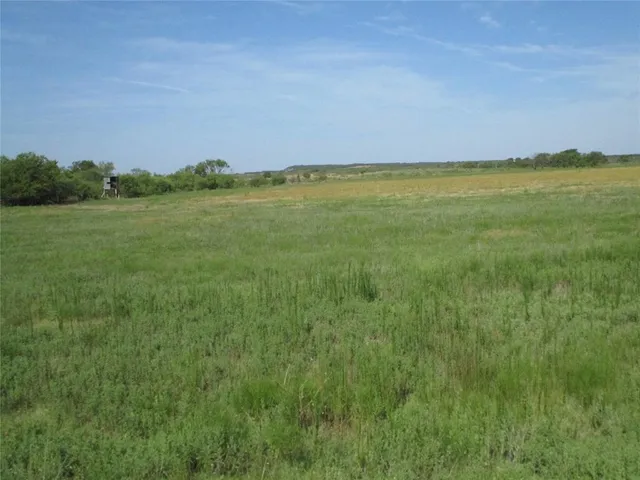 $320,000 | 30-ac Big Sandy Road, Bellevue, TX 76228