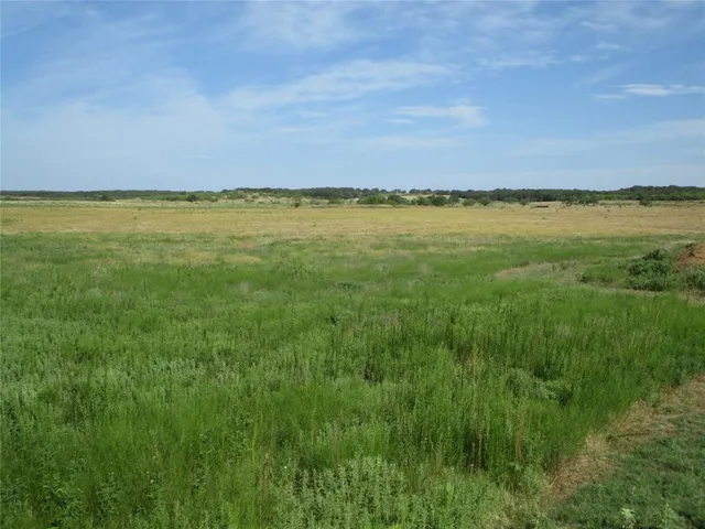 $320,000 | 30-ac Big Sandy Road, Bellevue, TX 76228