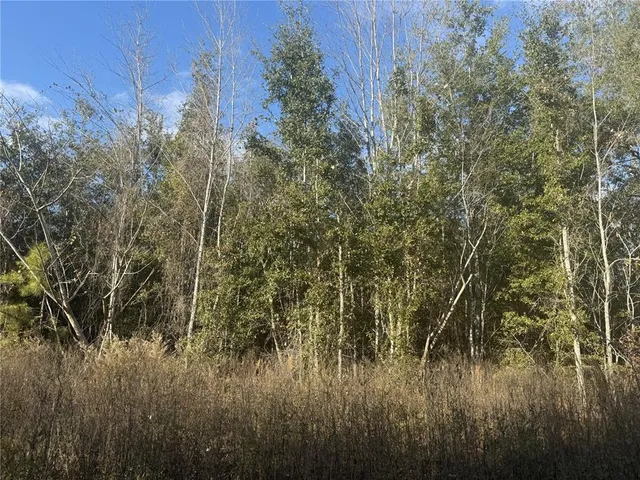 a view of a bunch of a house