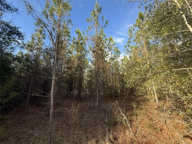 a view of outdoor space and yard