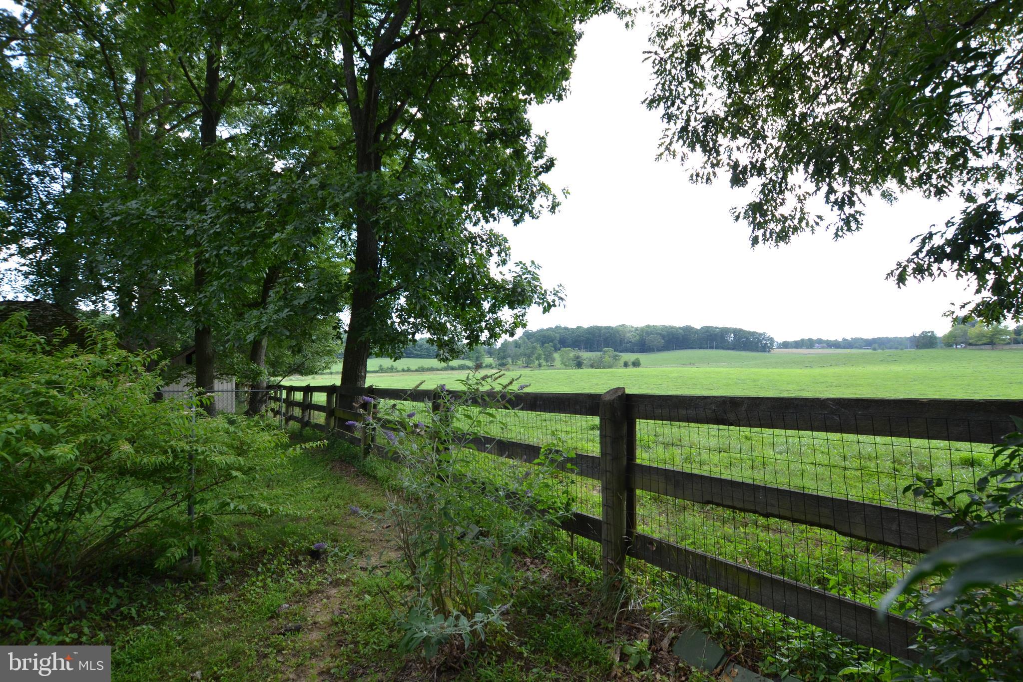 24403 Hipsley Mill Road Gaithersburg, MD 20882 - Photo 9 of 43 View From Backyard