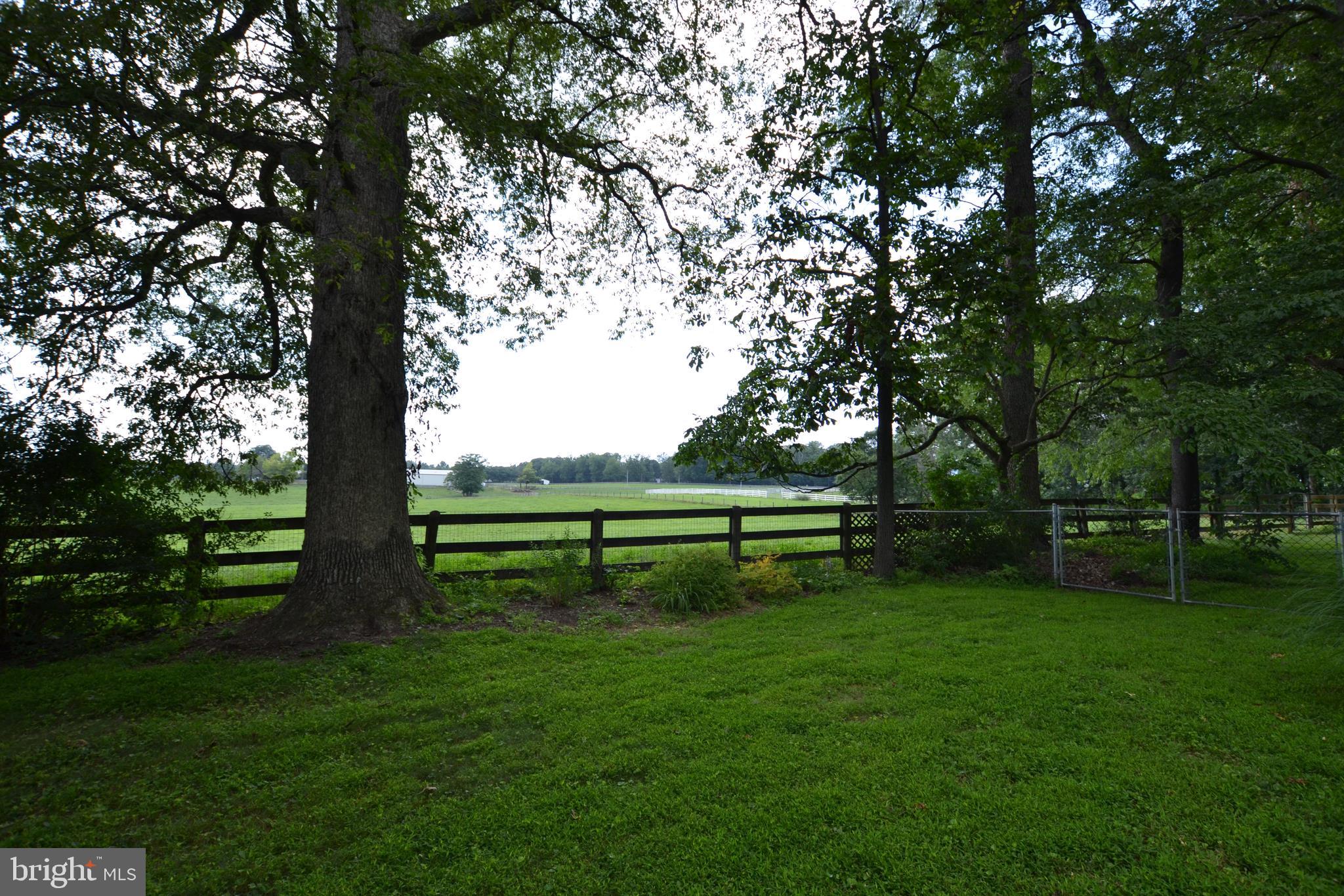 24403 Hipsley Mill Road Gaithersburg, MD 20882 - Photo 10 of 43 View from Backyard