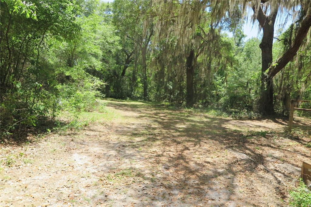 153-UNIT Ranch Road San Mateo, FL 32187 - Photo 29 of 34 a view of outdoor space with trees
