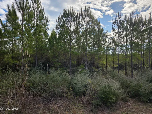 $79,900 | Xxx Northwest Church Road, Altha, FL 32421