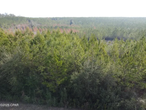 $79,900 | Xxx Northwest Church Road, Altha, FL 32421