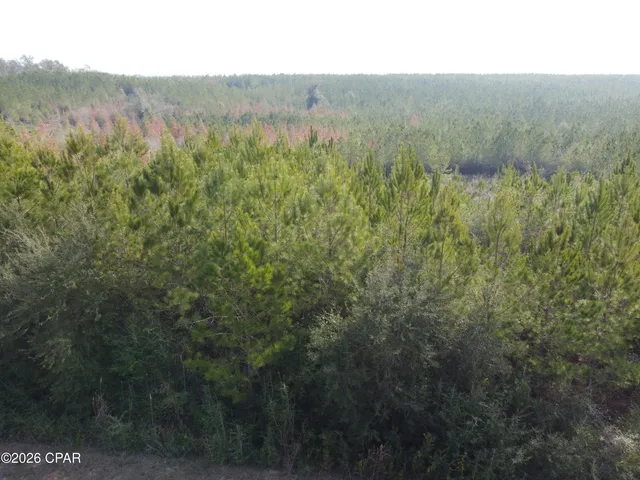 $79,900 | Xxx Northwest Church Road, Altha, FL 32421