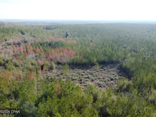 $79,900 | Xxx Northwest Church Road, Altha, FL 32421