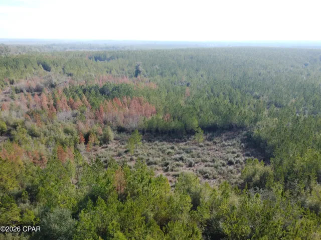 $79,900 | Xxx Northwest Church Road, Altha, FL 32421