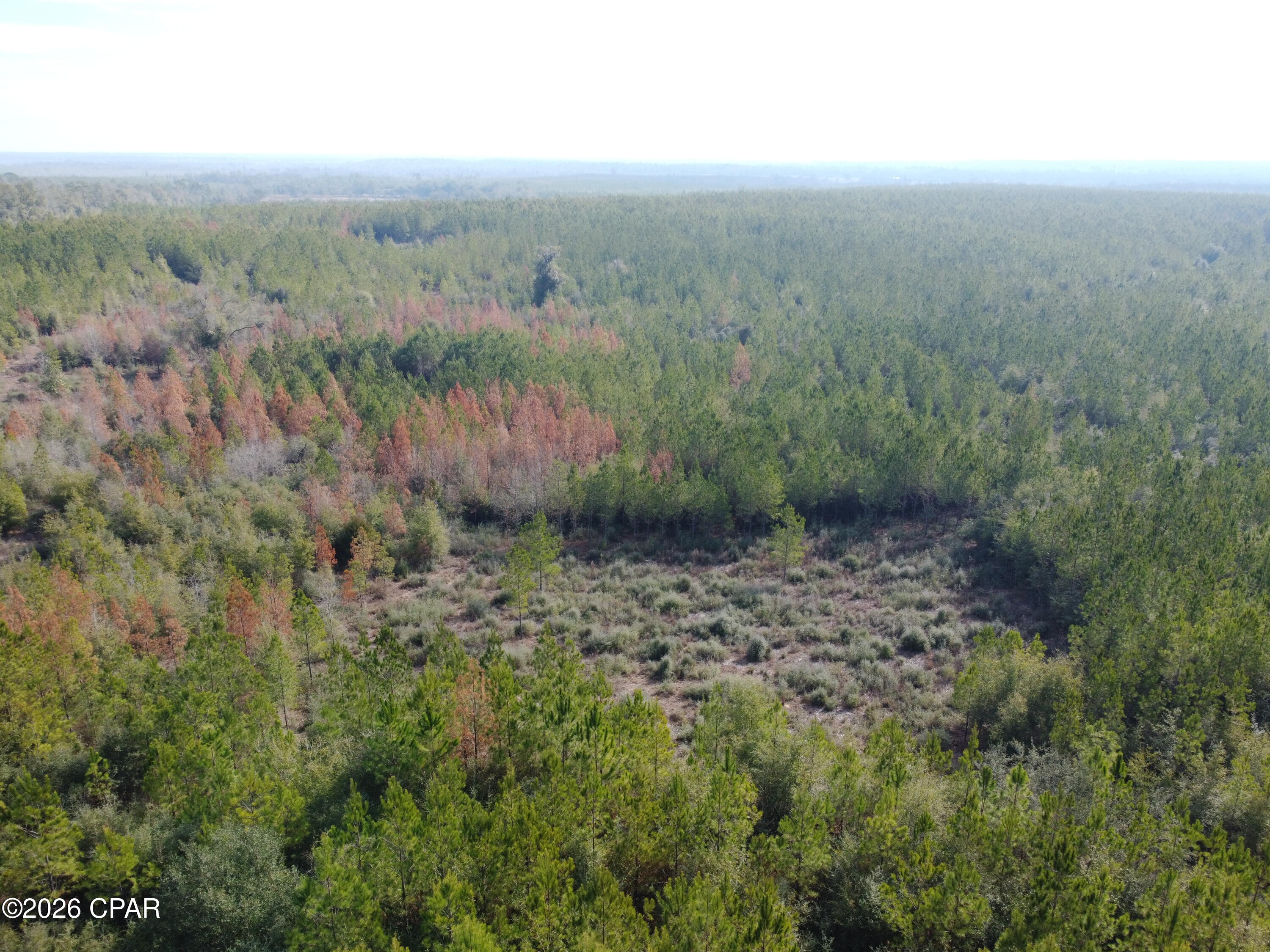 Xxx Northwest Church Road Altha, FL 32421 - Photo 5 of 6