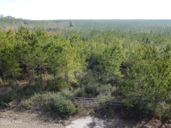 $79,900 | Xxx Northwest Church Road, Altha, FL 32421