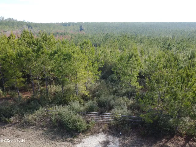 $79,900 | Xxx Northwest Church Road, Altha, FL 32421