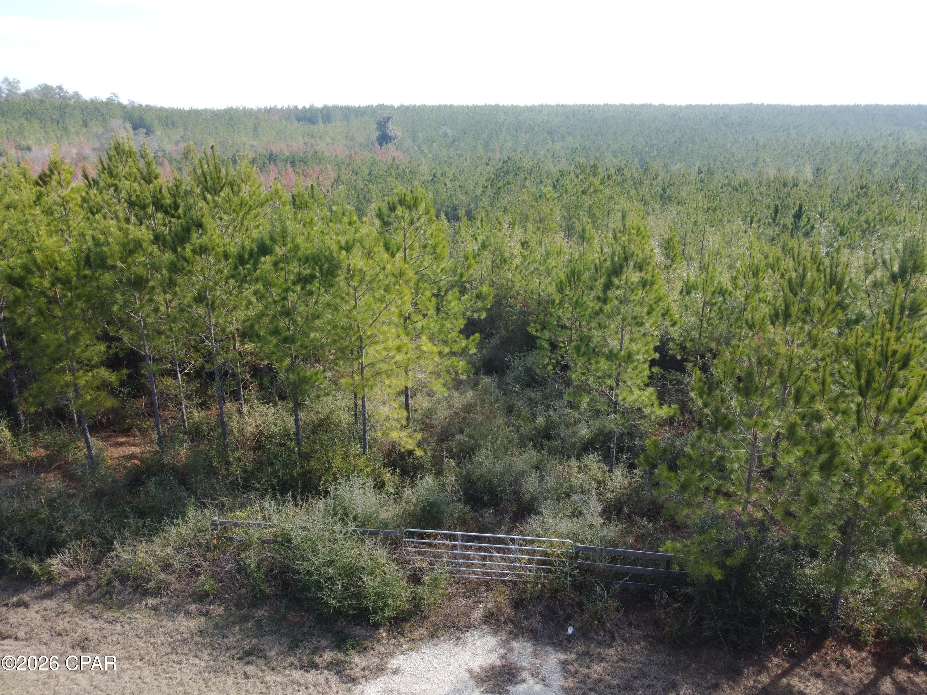 Xxx Northwest Church Road Altha, FL 32421 - Photo 6 of 6