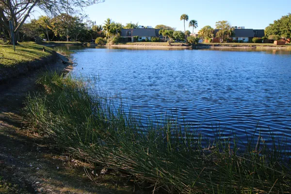 a view of a swimming pool and an outdoor space