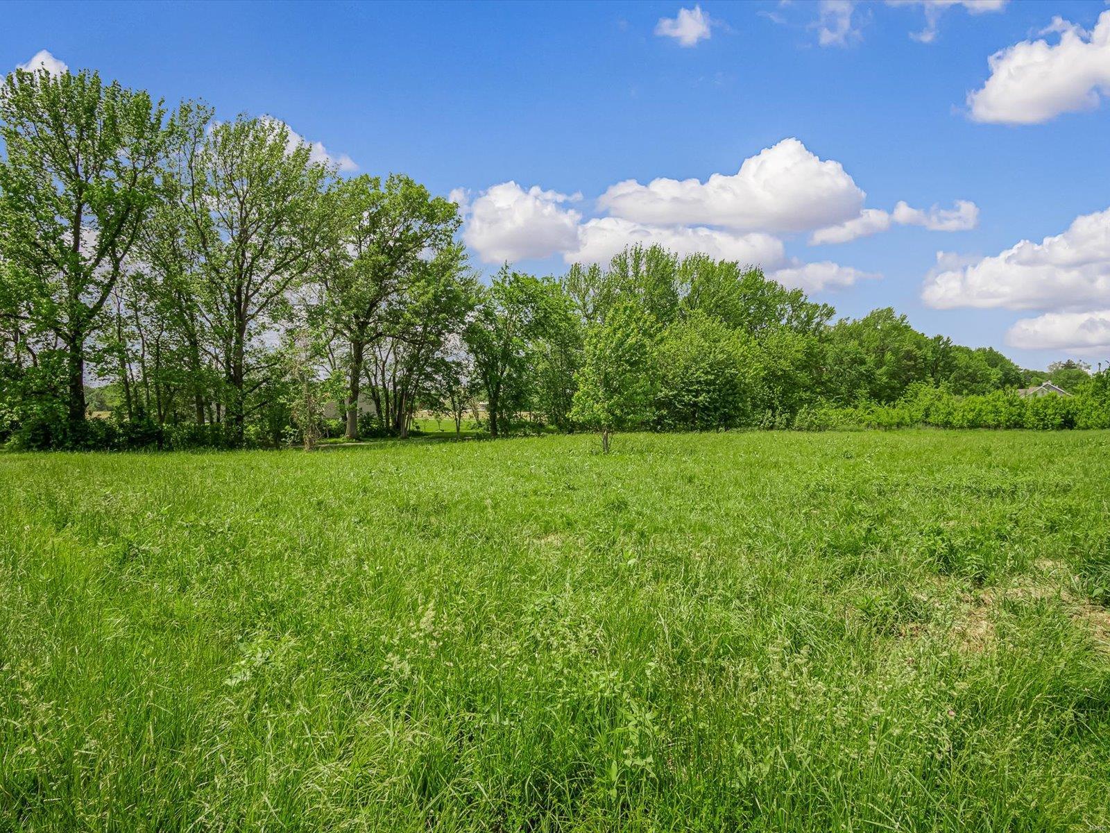 5325 Hazel Road Edwardsville, IL 62025 - Photo 2 of 3