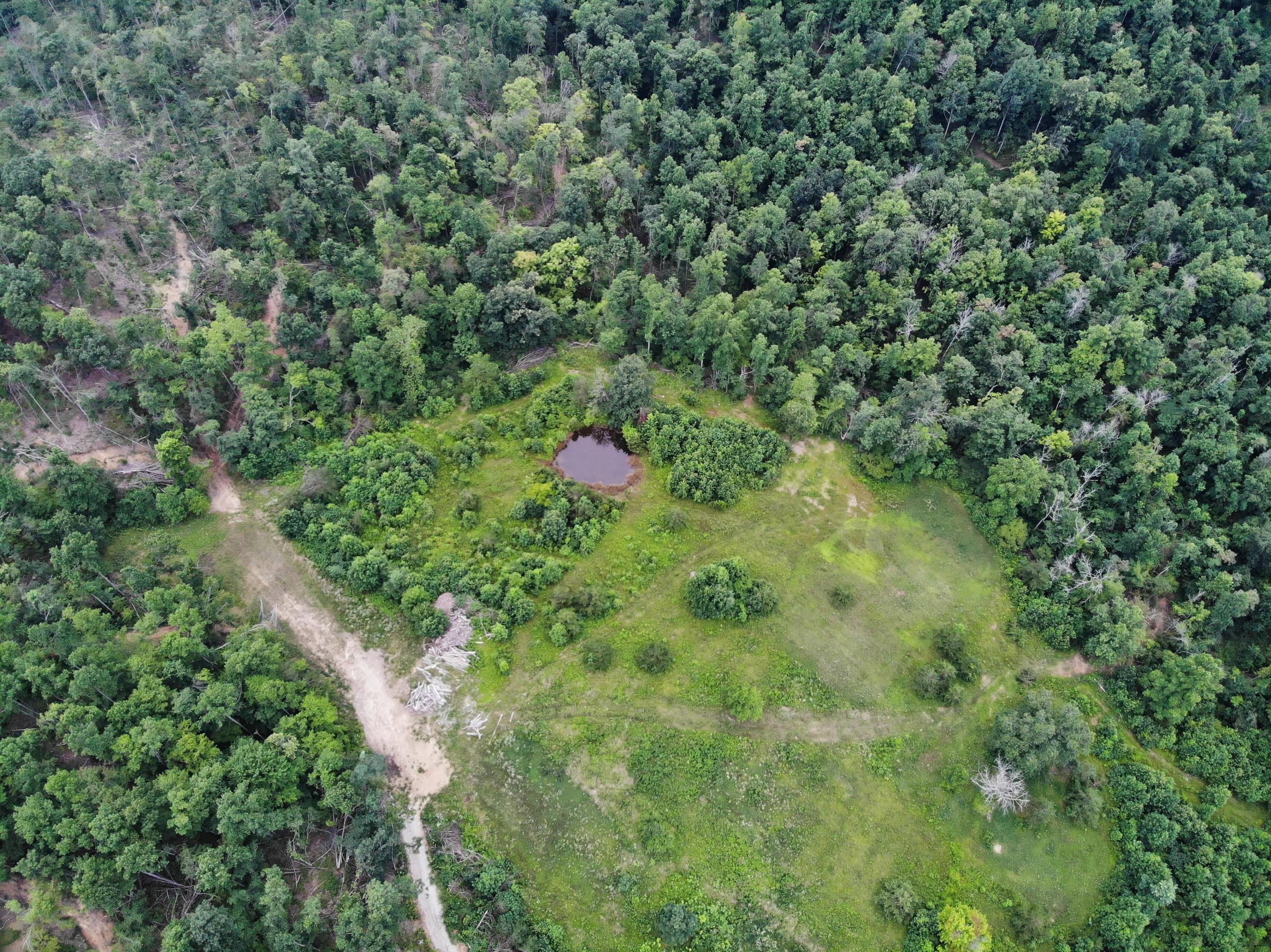 9015 McKee Road Irvine, KY 40336 - Photo 17 of 33 DJI_0990