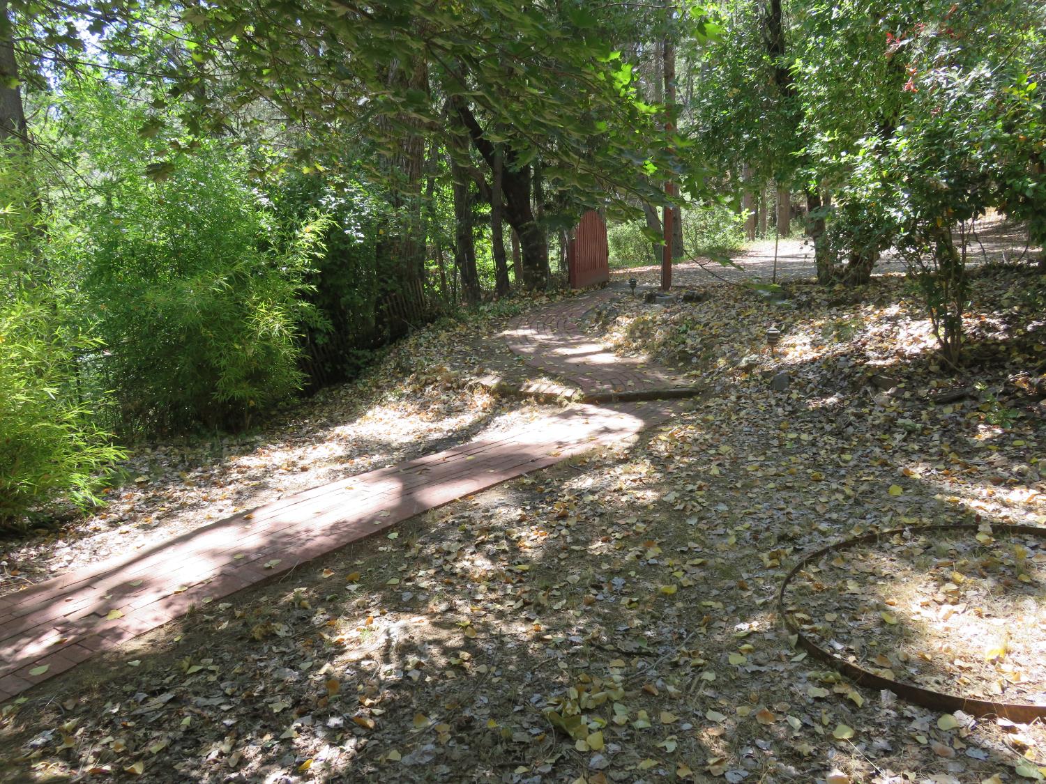 2563 Woodhouse Mine Road West Point, CA 95255 - Photo 16 of 49 a backyard of a house with lots of green space