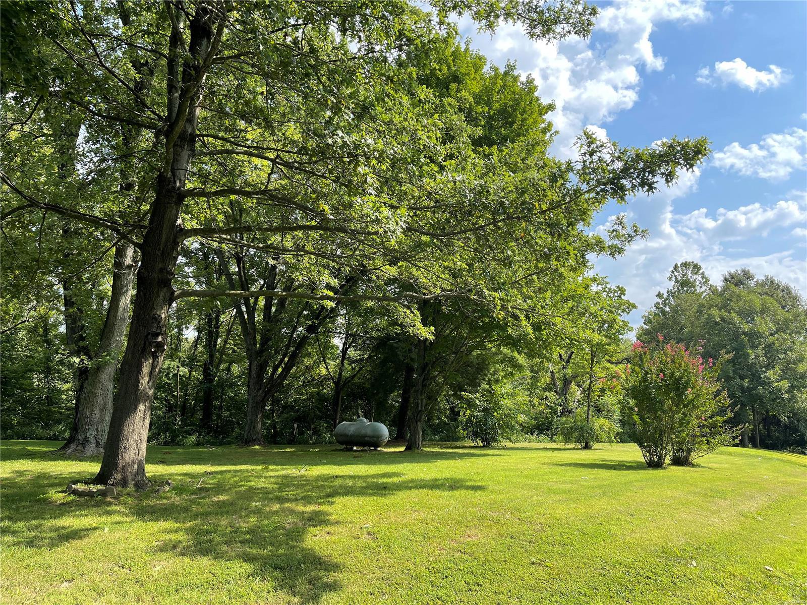 7685 Lebanon Road Collinsville, IL 62234 - Photo 8 of 28