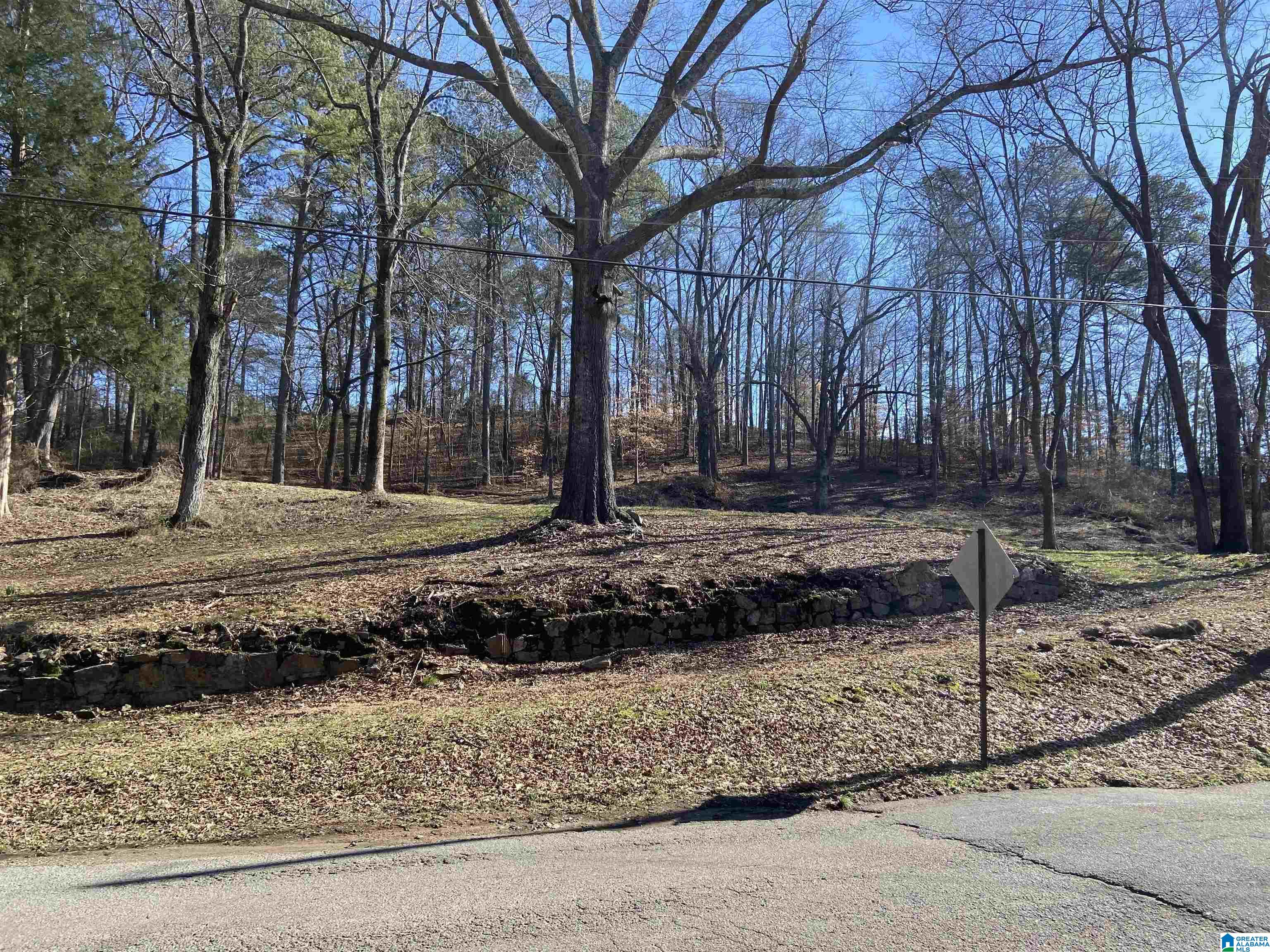 0 Robinson Street, Unit 1 Springville, AL 35146 - Photo 2 of 3