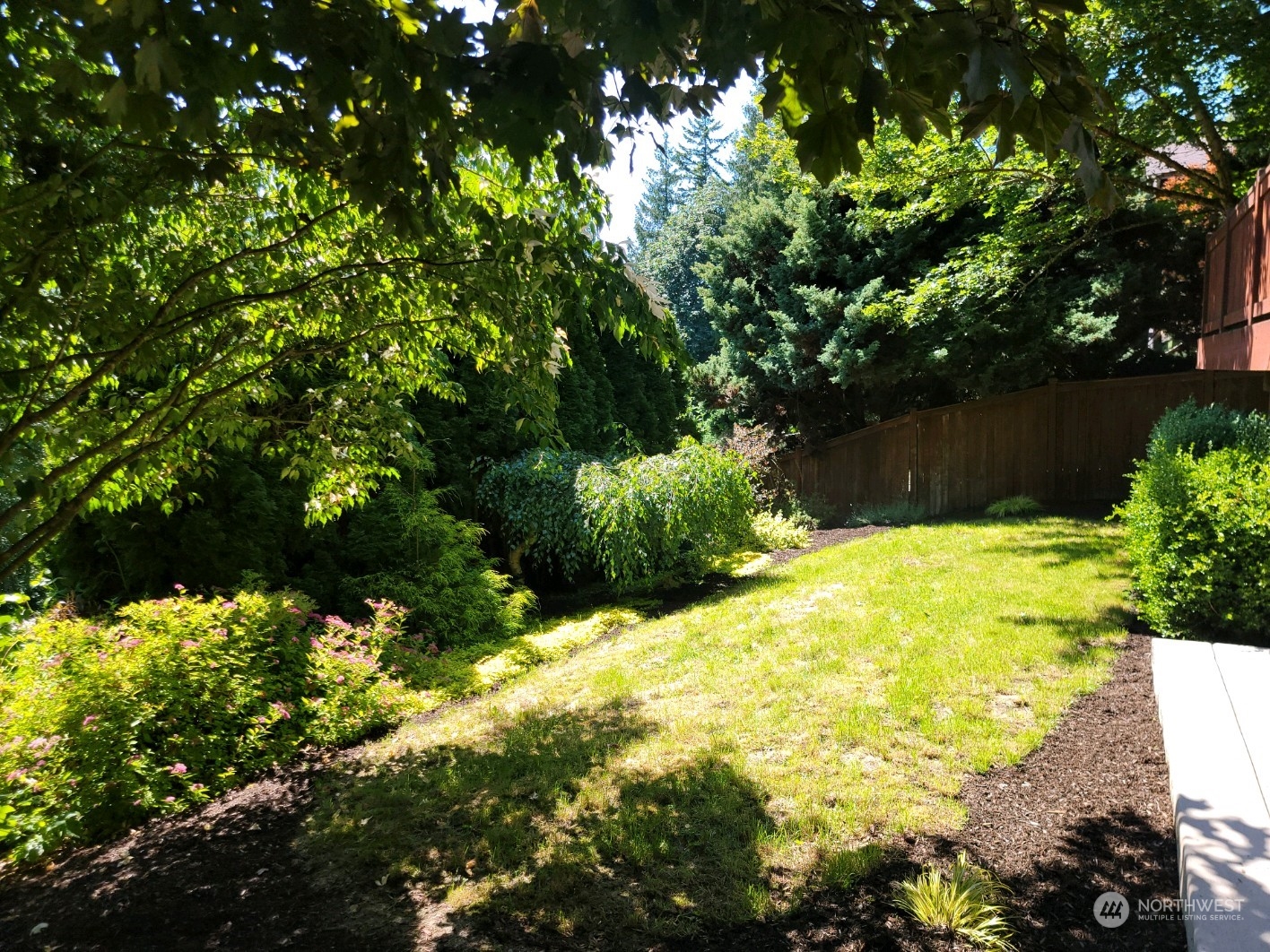 18290 Tahoma Street Southeast Monroe, WA 98272 - Photo 32 of 32 a view of yard with large tree