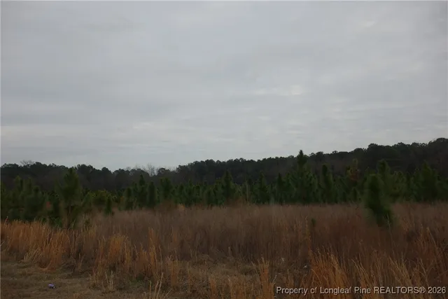$25,999 | Lot 45 Stuarts Mill Road, Fairmont, NC 28340