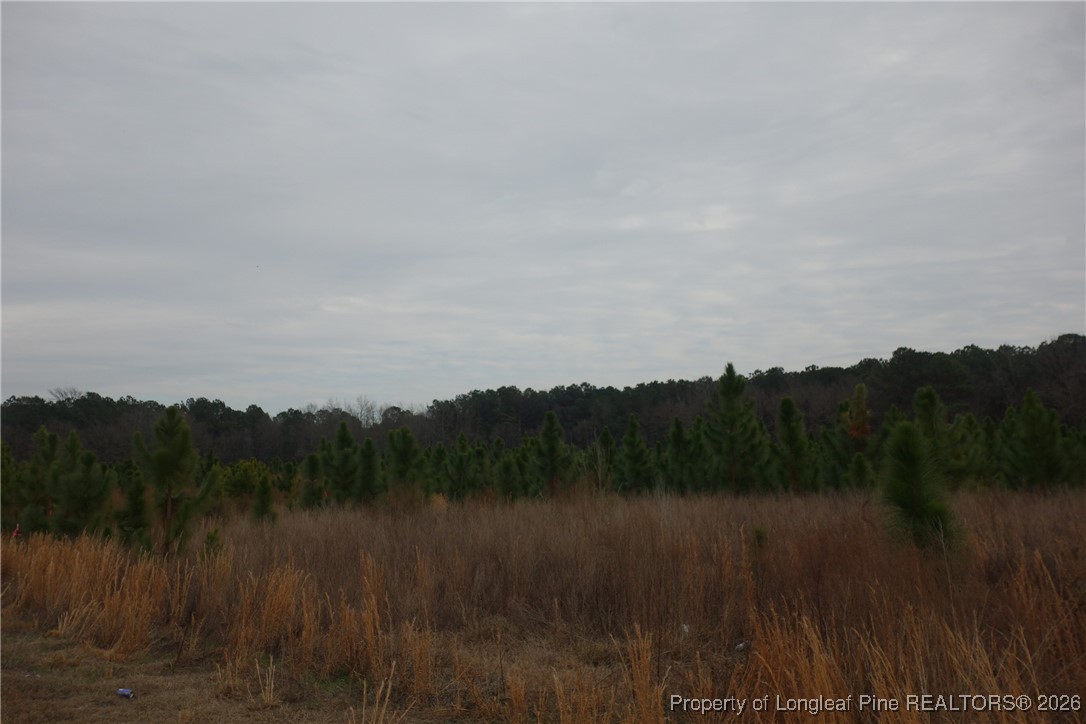 Lot 45 Stuarts Mill Road Fairmont, NC 28340 - Photo 1 of 2