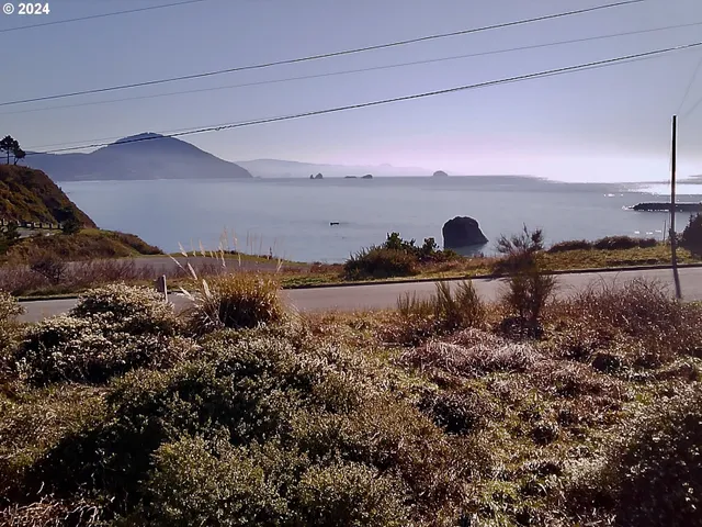 a view of a lake in middle of forest