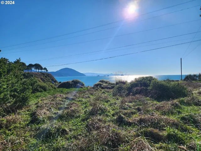 a view of a house with a street lush green forest