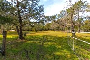 651 Old Haw Creek Road Bunnell, FL 32110 - Photo 27 of 28 a view of yard with large trees