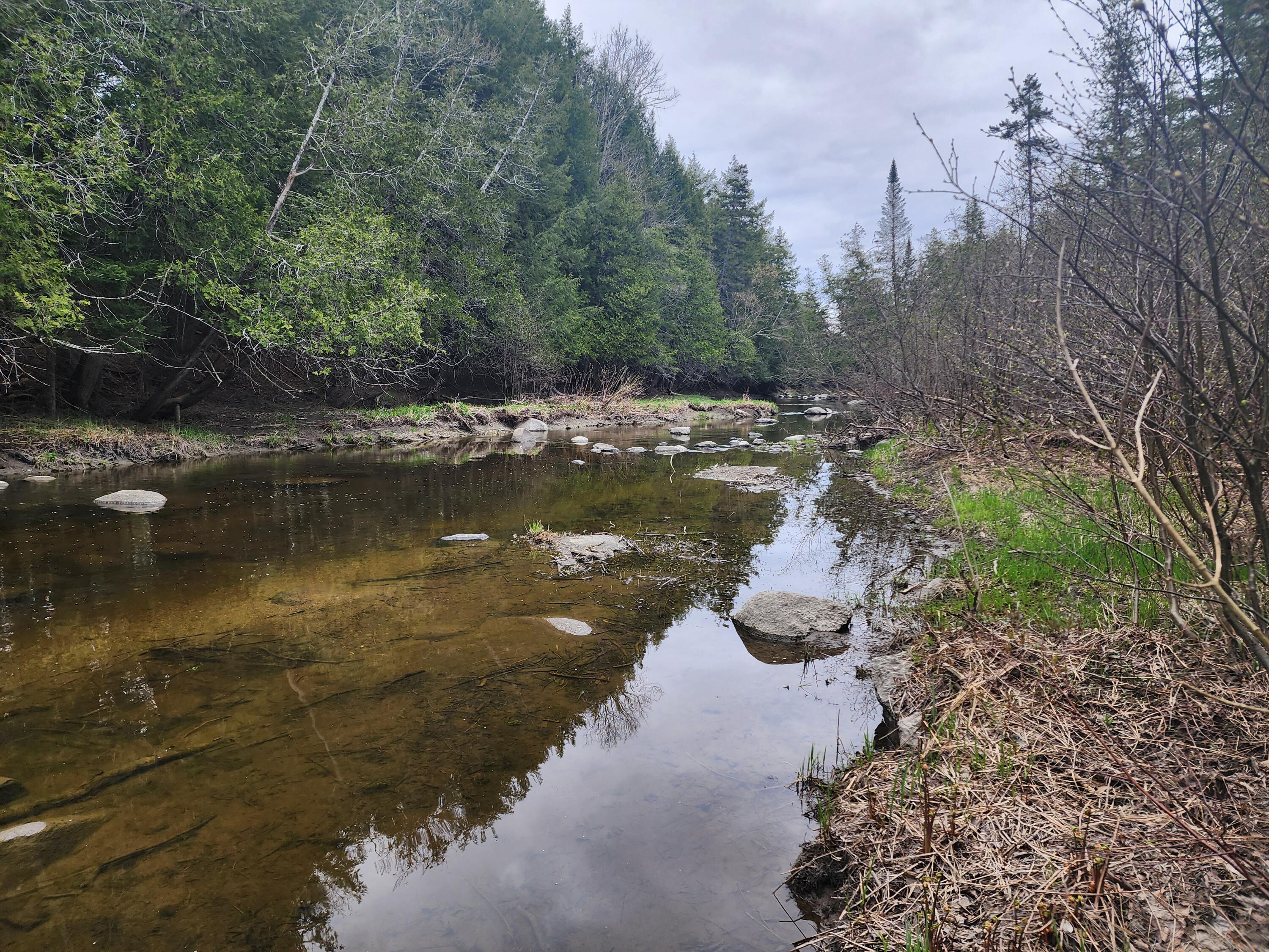 37 Anderson Farm Road Corinth, ME 04427 - Photo 9 of 41 20240504_171215