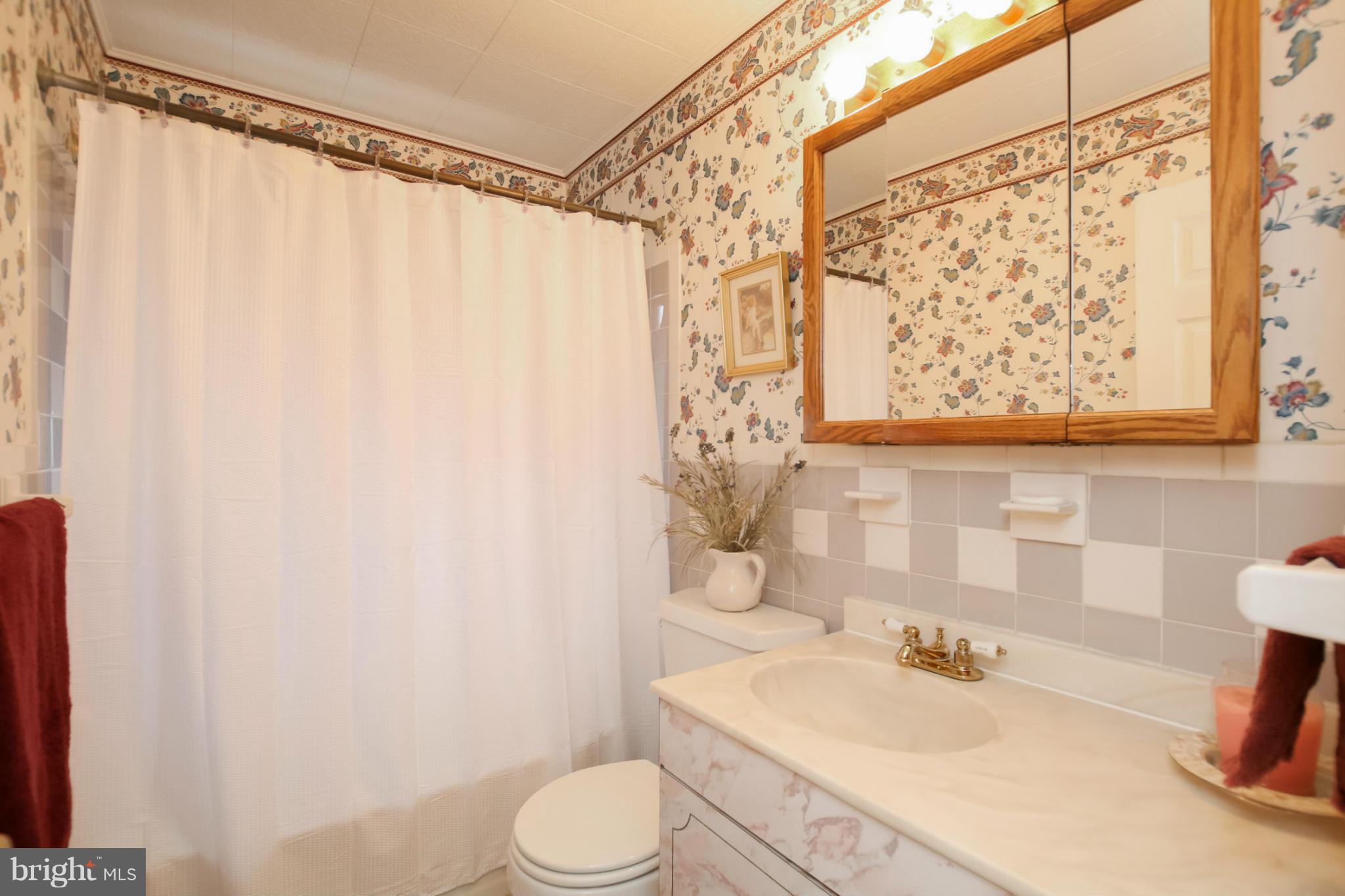 6631 Loch Hill Road Baltimore, MD 21239 - Photo 18 of 30 Bath on main level