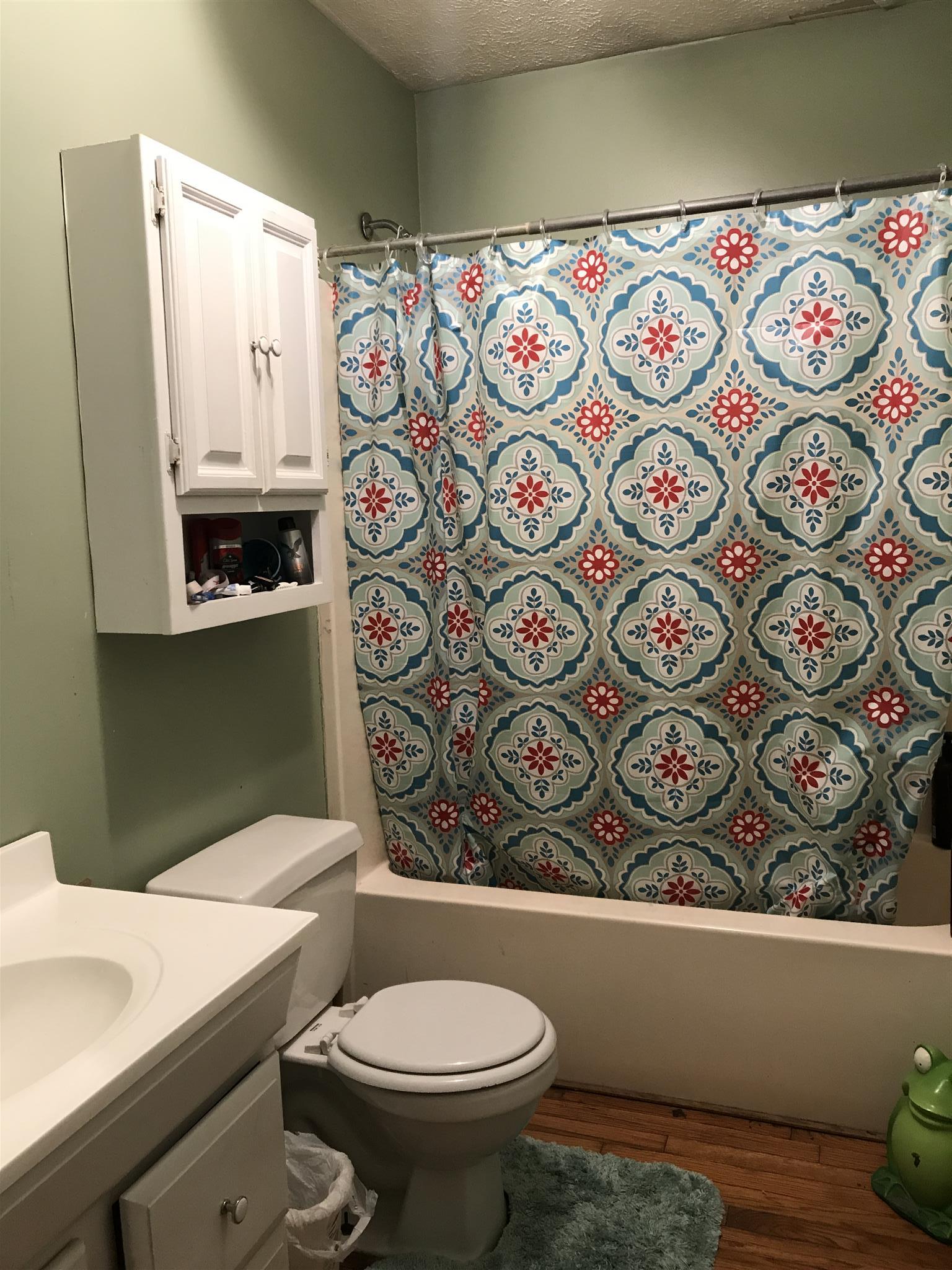 3996 Fairview Road Columbia, TN 38401 - Photo 13 of 18 a bathroom with a toilet and a sink