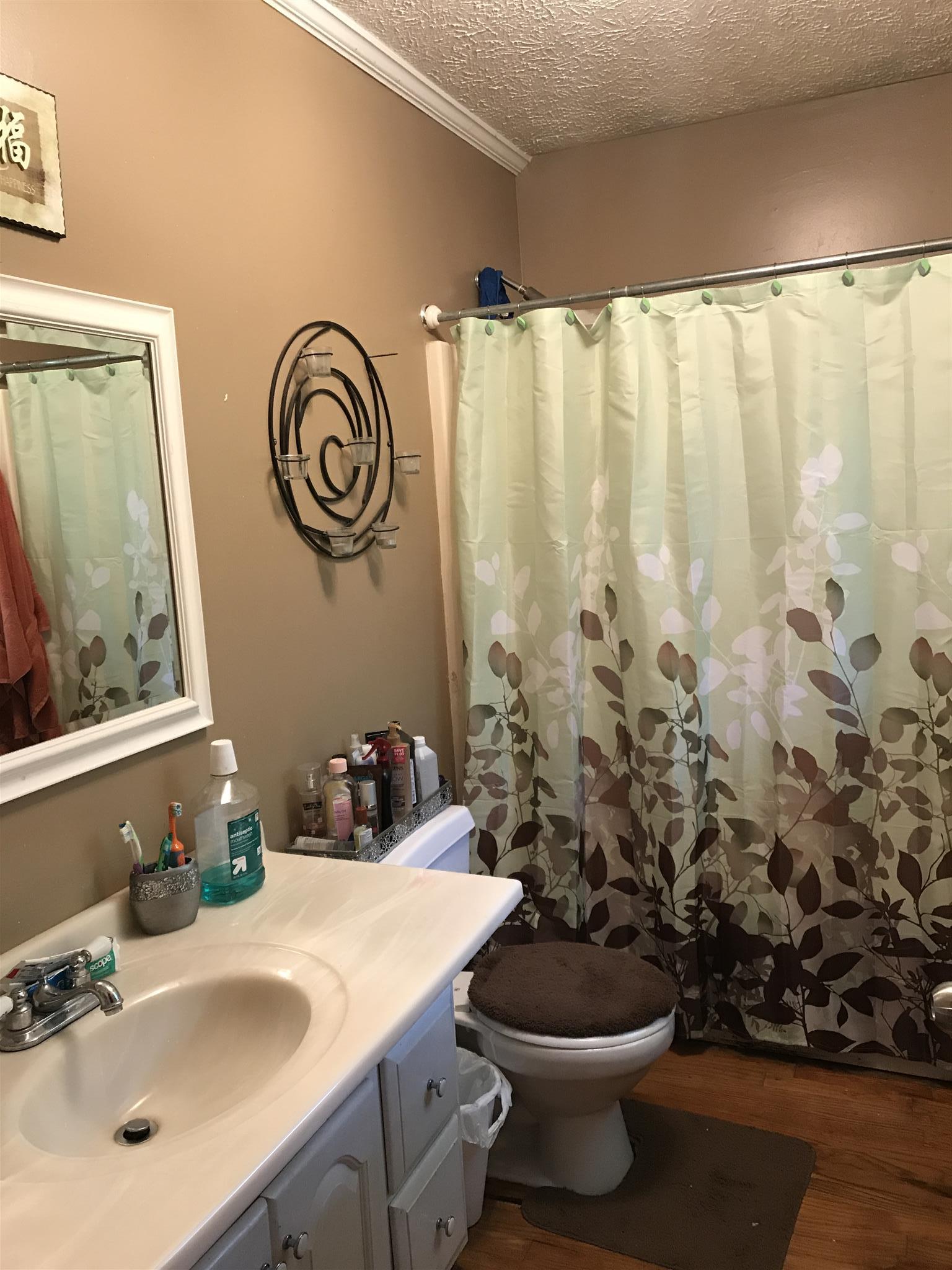 3996 Fairview Road Columbia, TN 38401 - Photo 9 of 18 a bathroom with a sink a toilet and a mirror