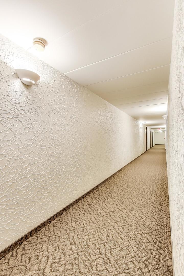 16 East Old Willow Road, Unit 414S Prospect Heights, IL 60070 - Photo 7 of 32