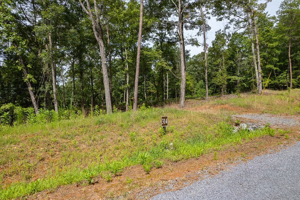 Lot 314 Pebble Trace Talking Rock, GA 30175 - Photo 4 of 14 a backyard of a house with lots of green space