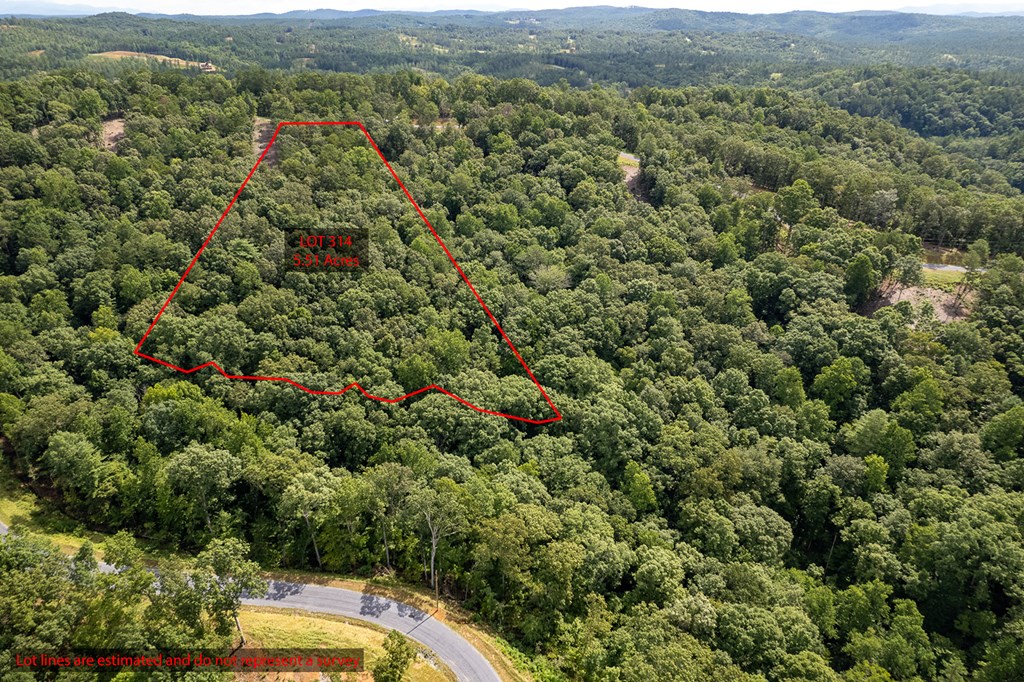 Lot 314 Pebble Trace Talking Rock, GA 30175 - Photo 7 of 14 a view of a city and mountains