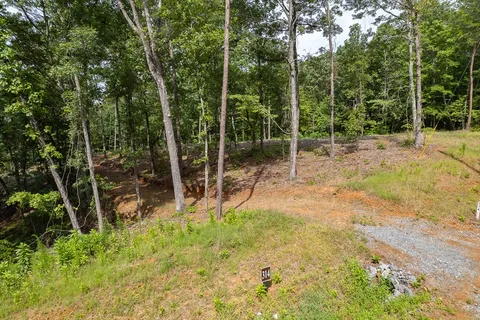 a view of a backyard with trees