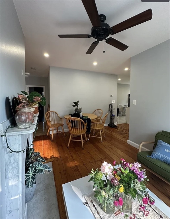 183 Prospect Street, Unit 2 Cambridge, MA 02139 - Photo 4 of 11 a living room with furniture and a potted plant