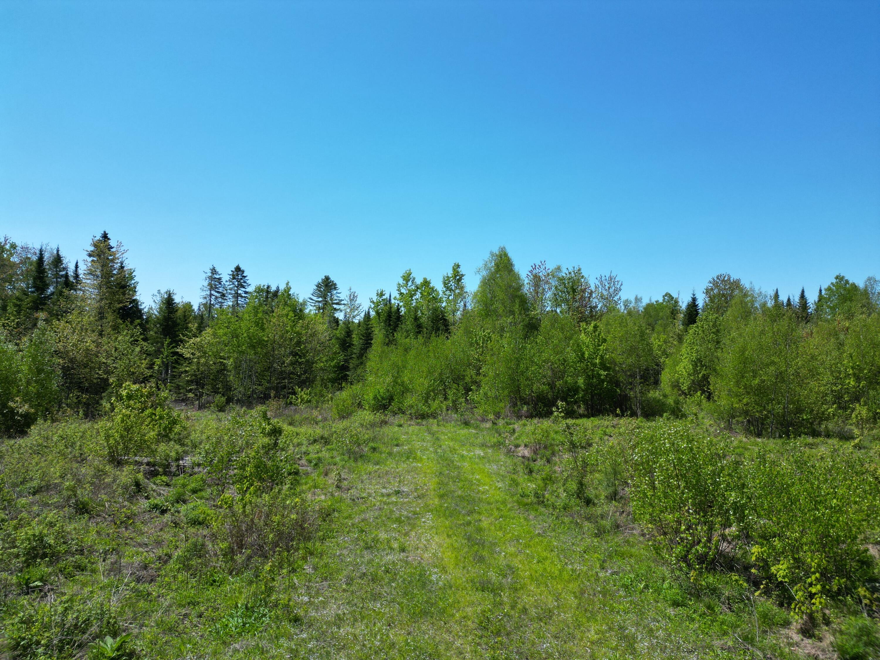 DJI_0968