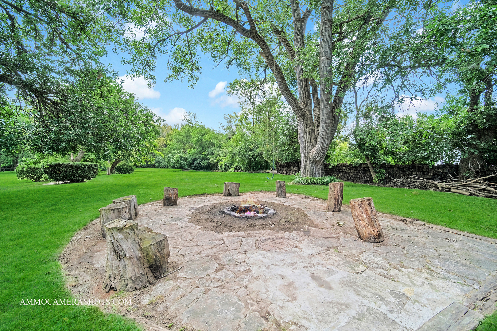 25W375 Plank Road Naperville, IL 60563 - Photo 11 of 47 a view of a park with large trees
