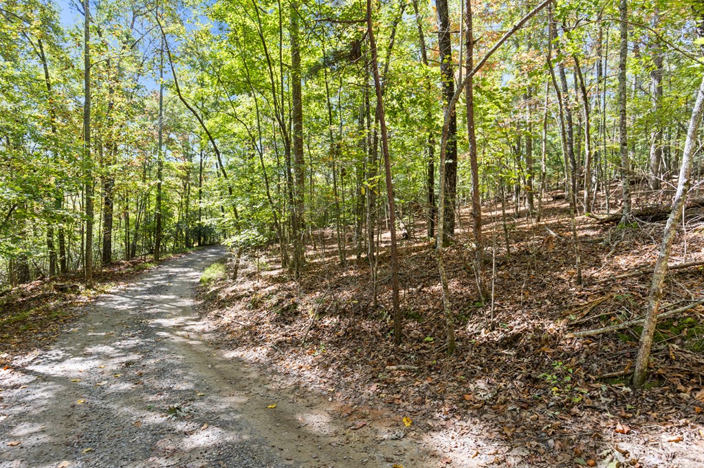 Lot 1-2 Timberlake Estates Blue Ridge, GA 30513 - Photo 15 of 20 Gallery Image 15