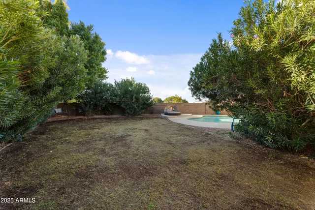 a view of a yard with large trees