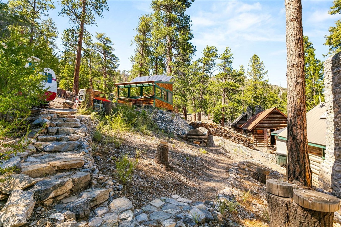 4075 Cougar Ridge Trail Mount Charleston, NV 89124 - Photo 26 of 69