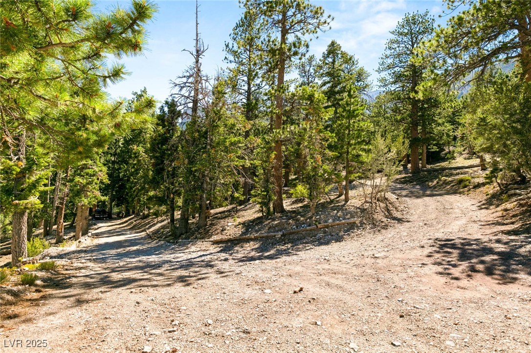 4075 Cougar Ridge Trail Mount Charleston, NV 89124 - Photo 37 of 69