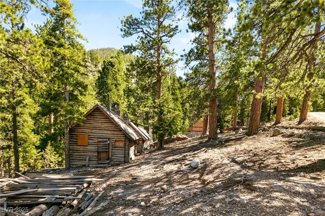 $1,250,000 | 4075 Cougar Ridge Trail, Mount Charleston, NV 89124