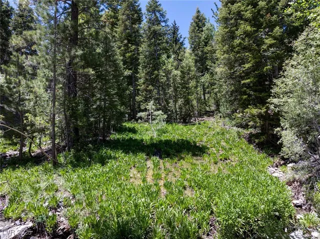 $1,250,000 | 4075 Cougar Ridge Trail, Mount Charleston, NV 89124
