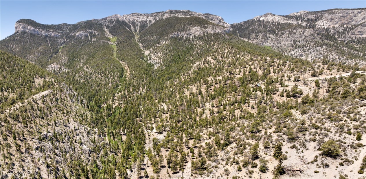 4075 Cougar Ridge Trail Mount Charleston, NV 89124 - Photo 49 of 69