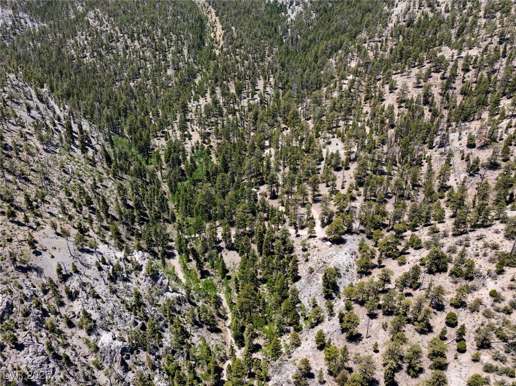 4075 Cougar Ridge Trail Mount Charleston, NV 89124 - Photo 51 of 69