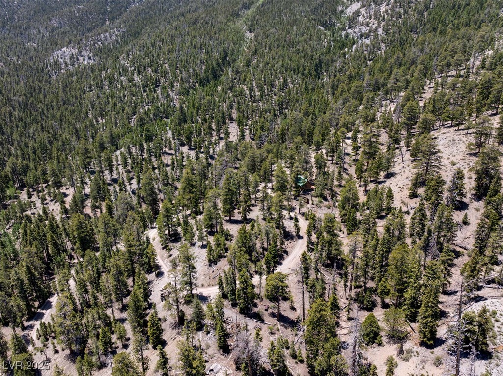 4075 Cougar Ridge Trail Mount Charleston, NV 89124 - Photo 52 of 69