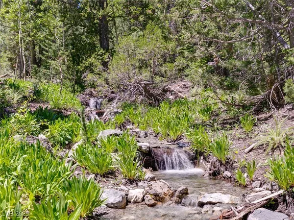 $1,250,000 | 4075 Cougar Ridge Trail, Mount Charleston, NV 89124